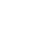 Tortoise